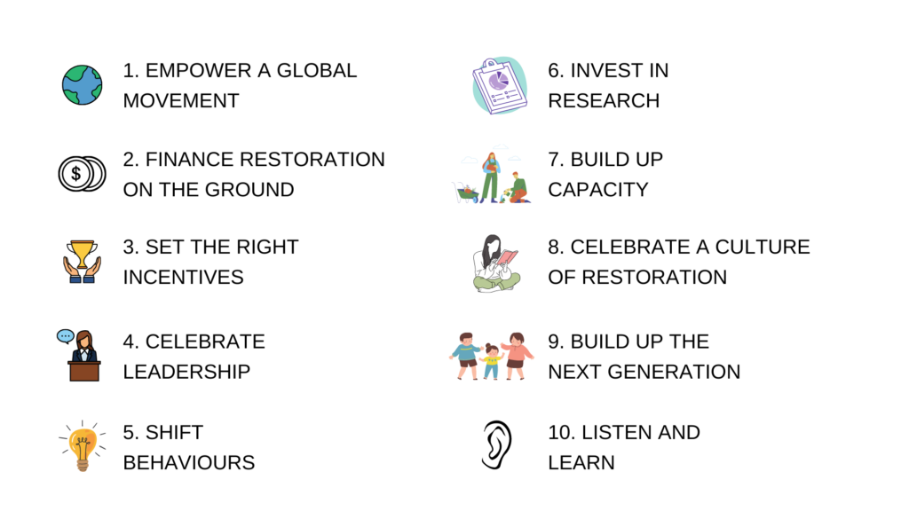 Graphic on the UN Decade on Ecosystem Restoration strategy