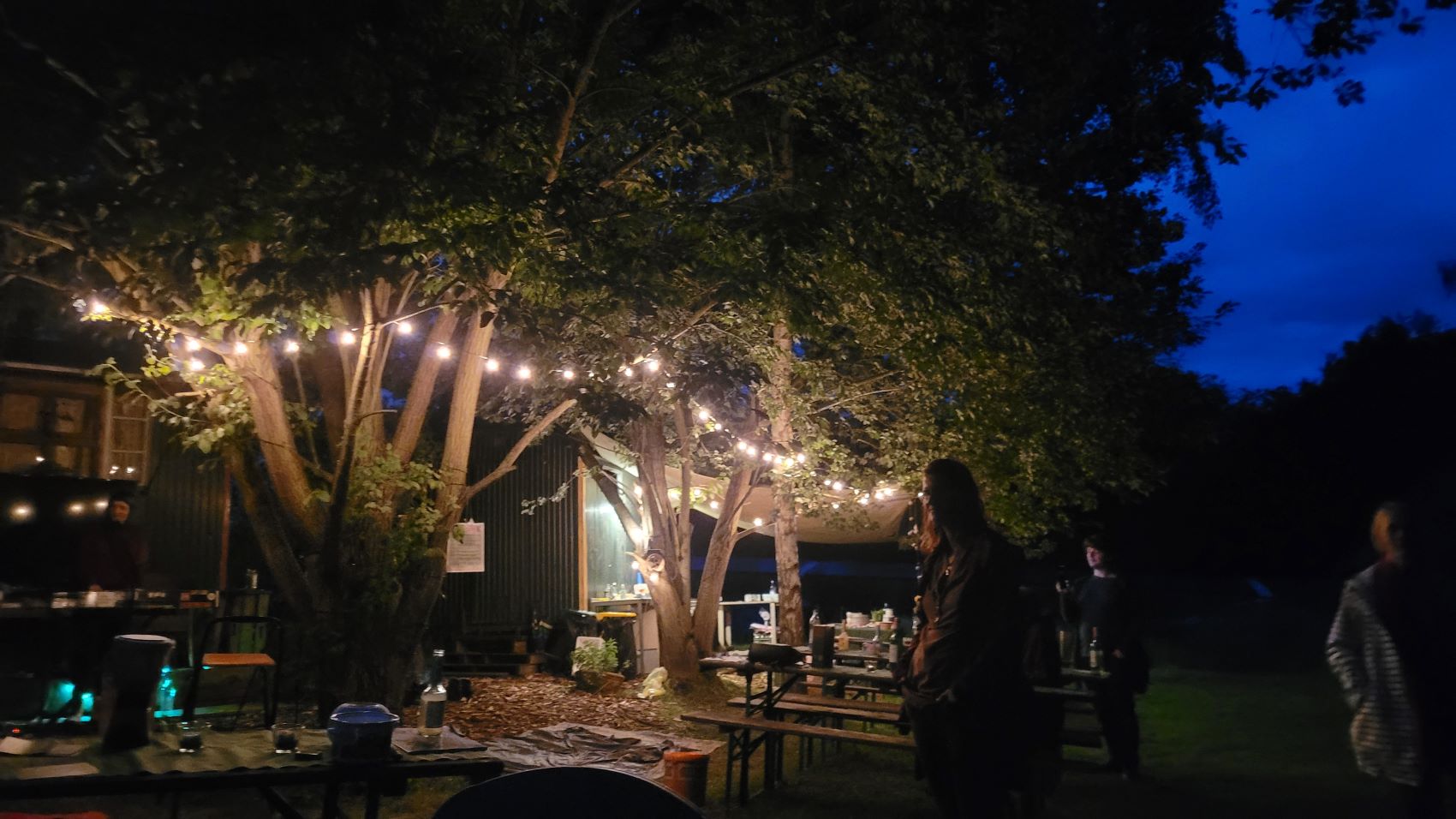 Abendstimmung beim nachhaltigen Sommerfest von Generation Restoration 2024