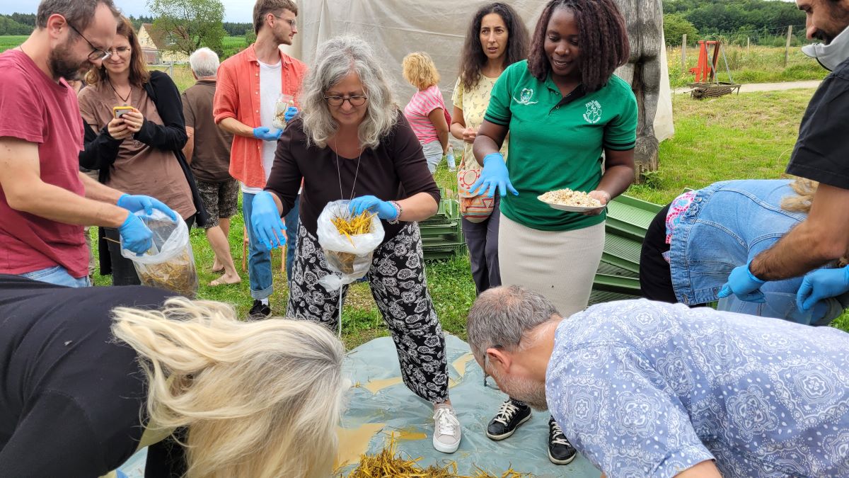 Workshop: Pilze-Züchten; Pilzexpertin Peruth Mutesi